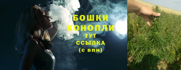 стафф Покачи