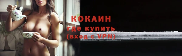 ПСИЛОЦИБИНОВЫЕ ГРИБЫ Вяземский