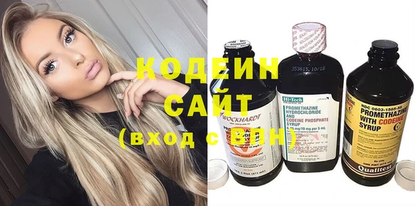 ПСИЛОЦИБИНОВЫЕ ГРИБЫ Вяземский