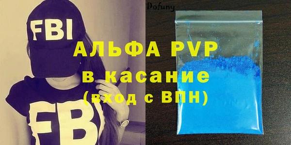ПСИЛОЦИБИНОВЫЕ ГРИБЫ Вяземский