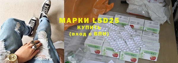 ПСИЛОЦИБИНОВЫЕ ГРИБЫ Вяземский