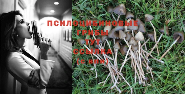молекула духа Горнозаводск