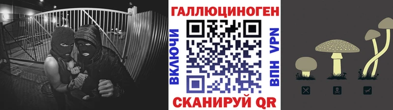 купить   Задонск  Псилоцибиновые грибы Psilocybe 